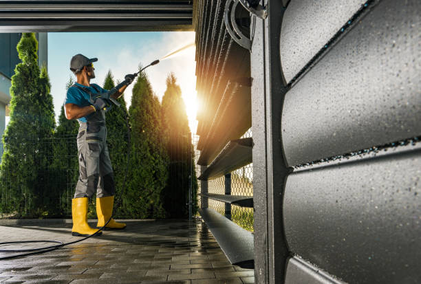 Best Animal Enclosure Cleaning  in Mount Pleasant, TX